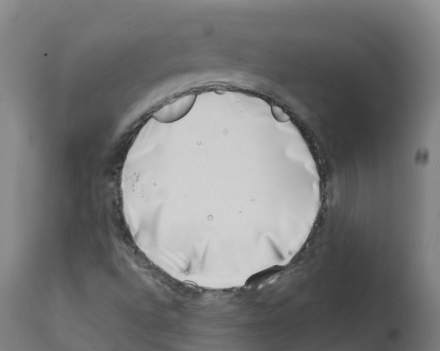 X0000112391496200909241226