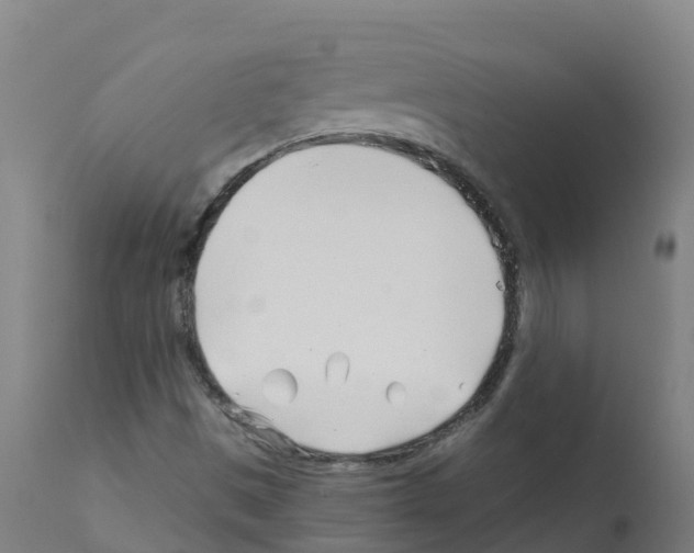 X0000112391497200909241226