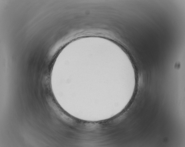 X0000112391498200909241226