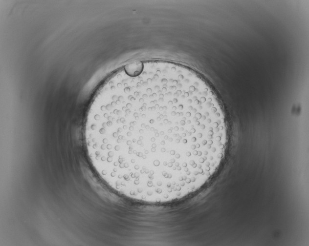 X0000112391499200909241226