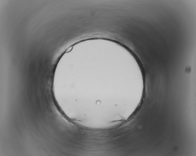 X0000112391500200909241226