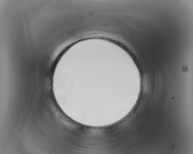 X0000112391501200909241226
