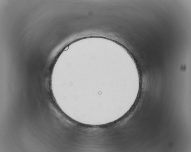 X0000112391502200909241226