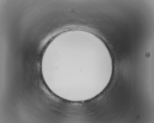 X0000112391503200909241226