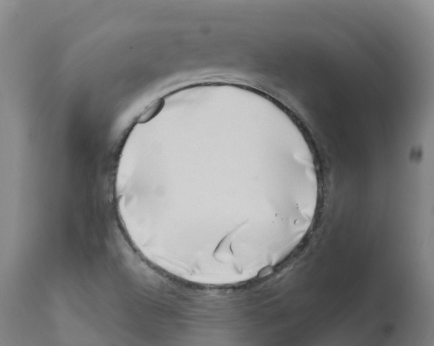 X0000112391504200909241226