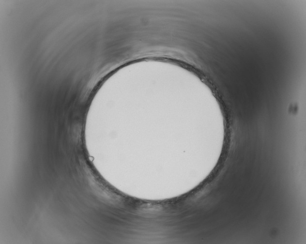 X0000112391505200909241226