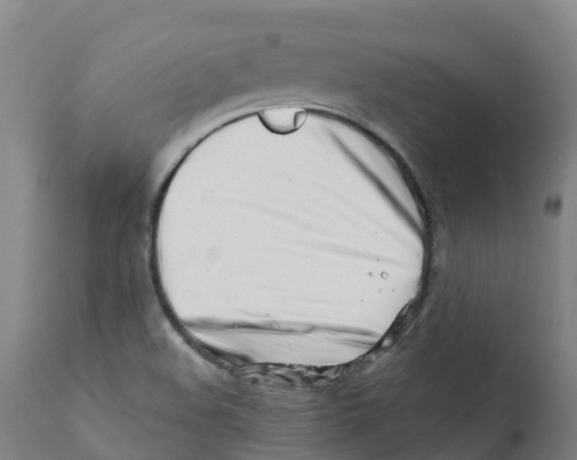 X0000112391508200909241226