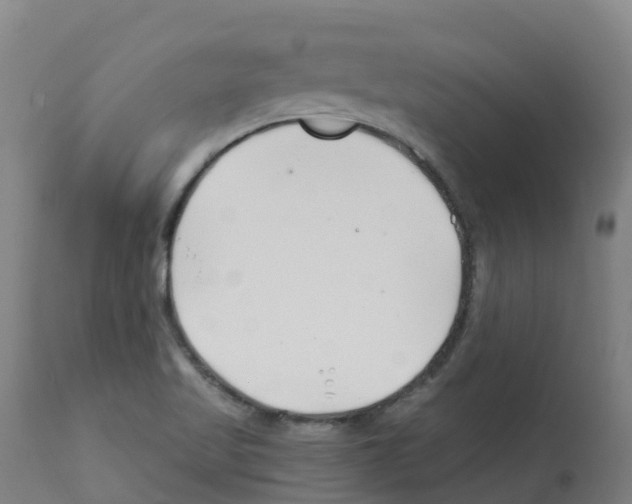 X0000112391509200909241226