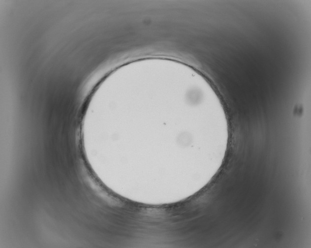 X0000112391511200909241226