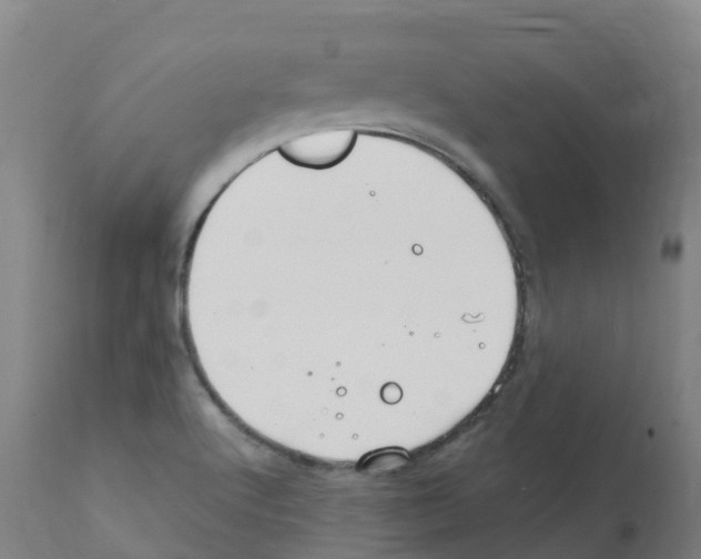 X0000112391512200909241226