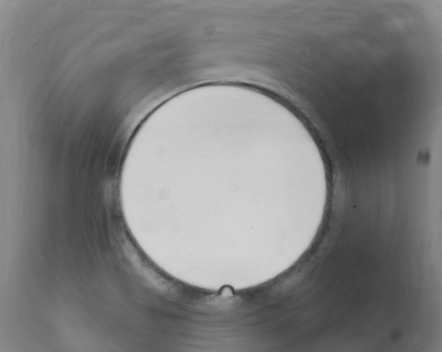 X0000112391513200909241226