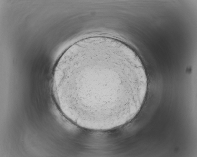 X0000112391514200909241226
