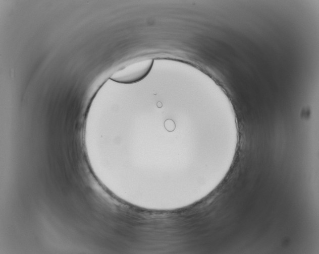 X0000112391516200909241226