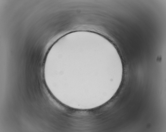 X0000112391517200909241226
