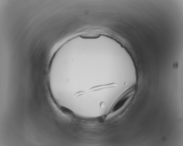 X0000112391520200909241226