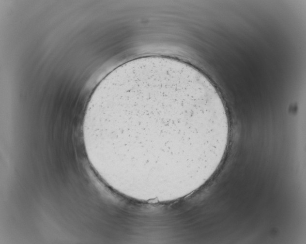 X0000112391521200909241226