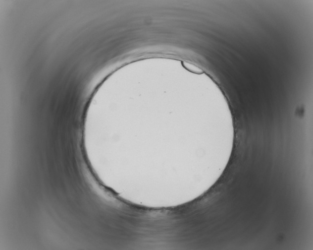 X0000112391523200909241226