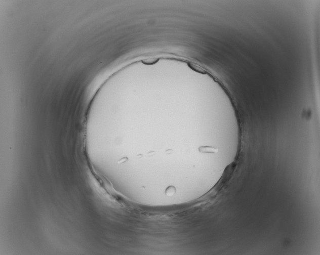 X0000112391524200909241226