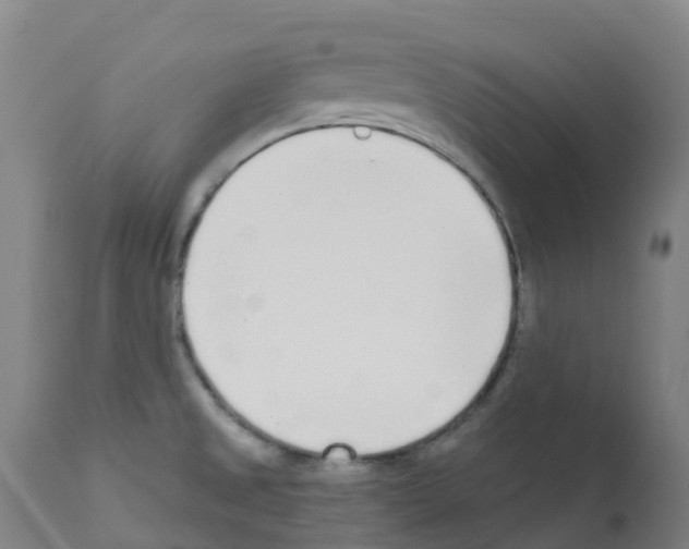 X0000112391525200909241226