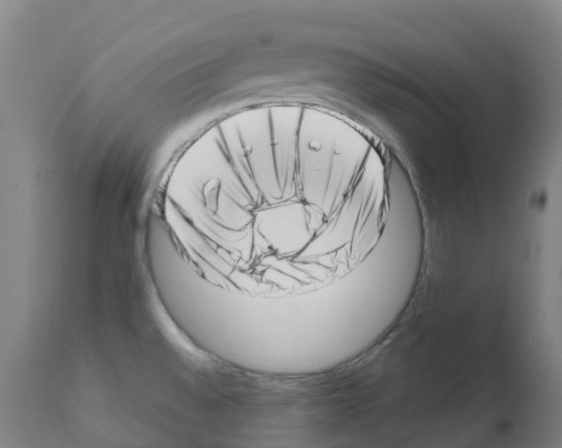 X0000112391528200909241226