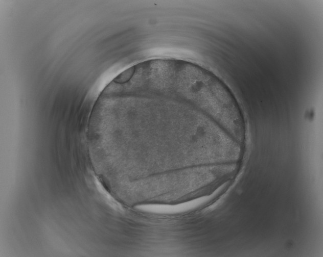 X0000112391529200909241226