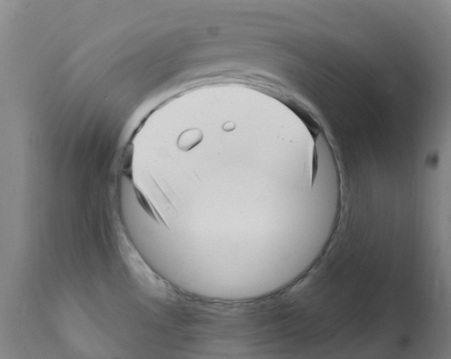 X0000112391530200909241226