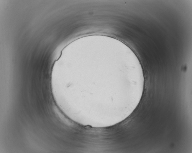 X0000112391532200909241226