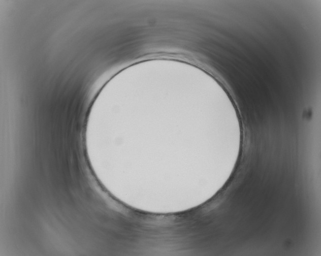 X0000112391533200909241226