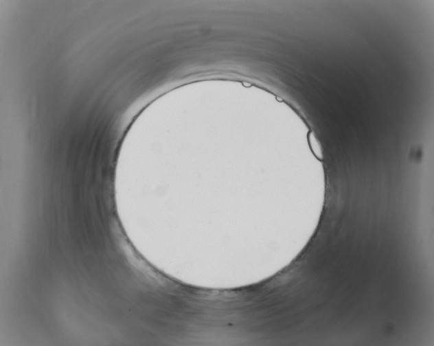 X0000112391534200909241226