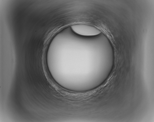 X0000112400001200908141014