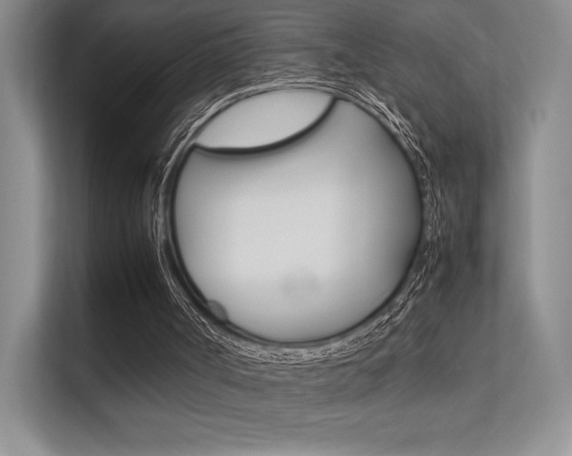 X0000112400002200908141014