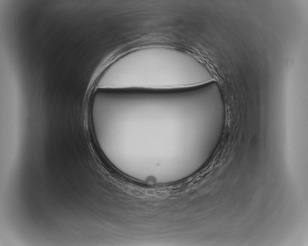 X0000112400004200908141014