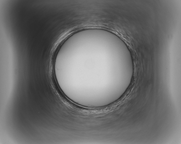 X0000112400005200908141014