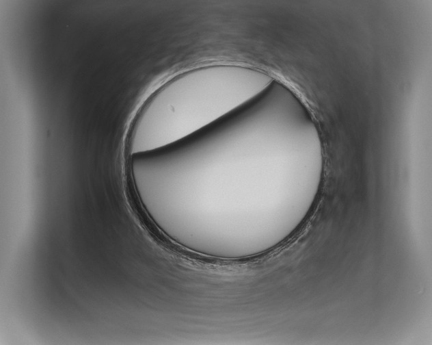 X0000112400008200908141014