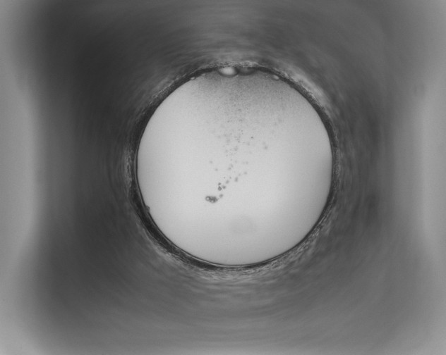 X0000112400009200908141014