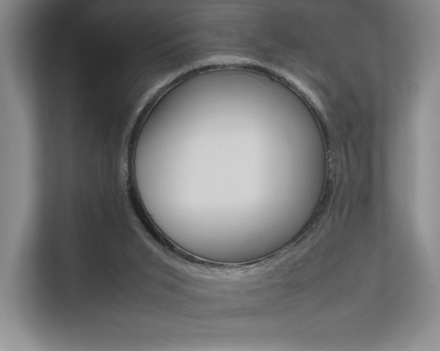 X0000112400015200908141014