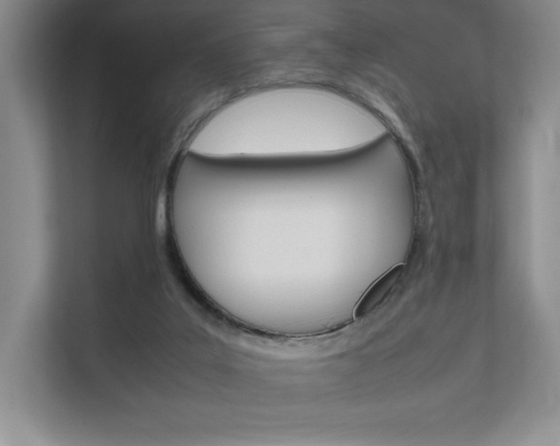 X0000112400019200908141014