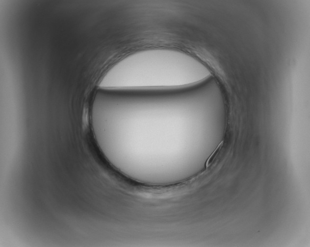 X0000112400021200908141014
