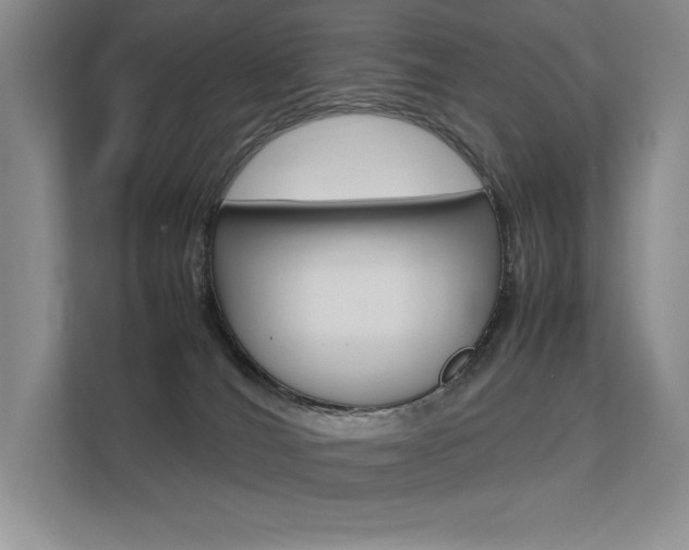 X0000112400036200908141014