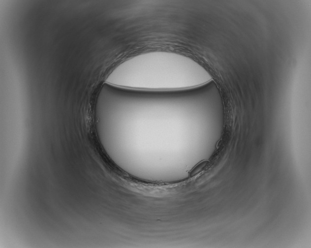 X0000112400040200908141014