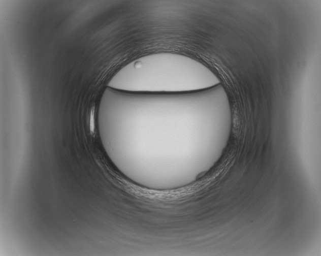 X0000112400046200908141014