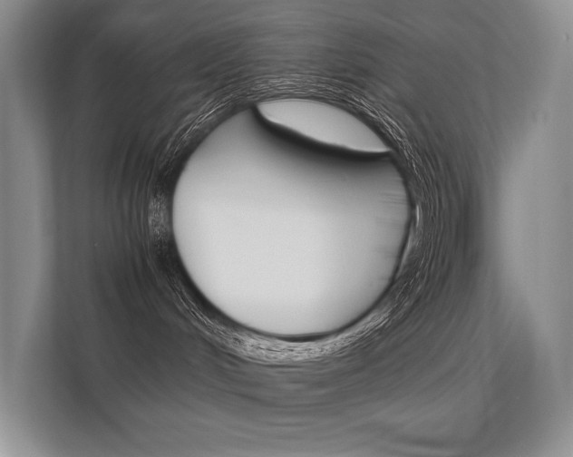 X0000112400048200908141014