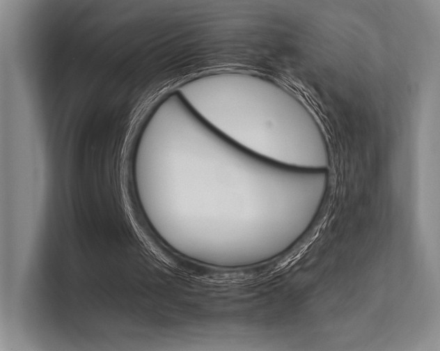 X0000112400049200908141013