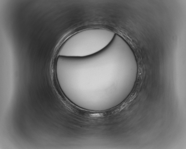 X0000112400053200908141013