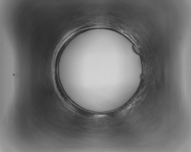 X0000112400055200908141013