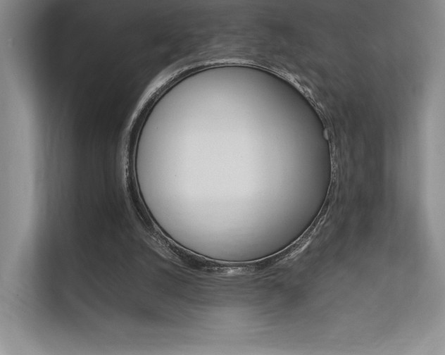 X0000112400056200908141013