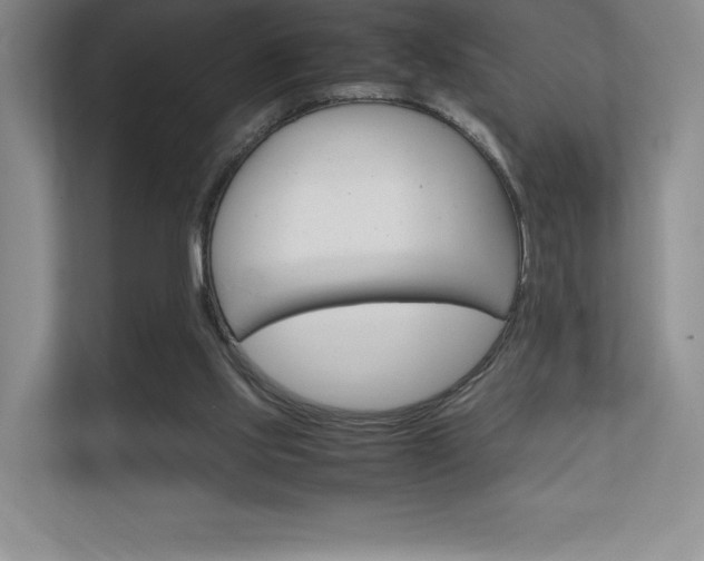 X0000112400061200908141013
