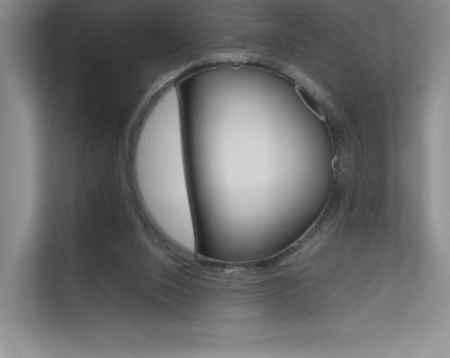 X0000112400064200908141013
