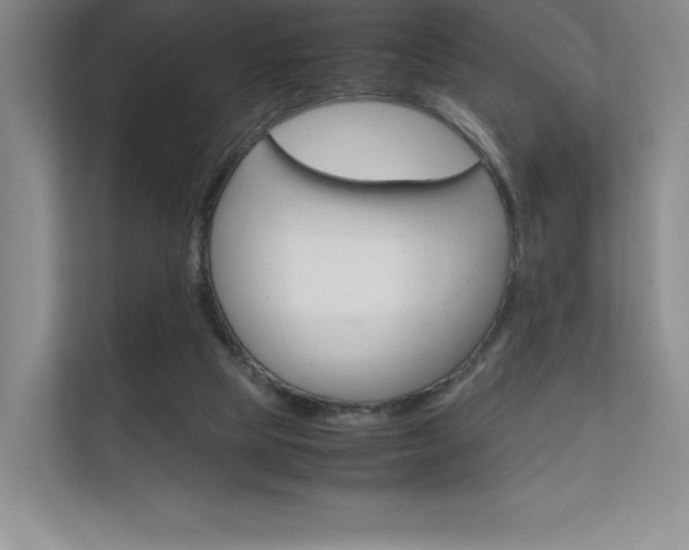 X0000112400065200908141013