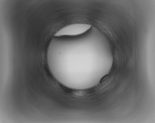 X0000112400079200908141014